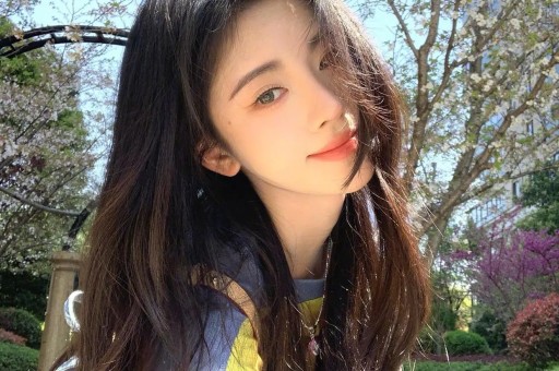 梗文化破圈让外网更懂中国